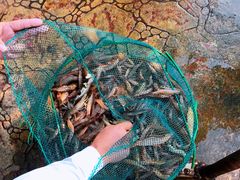 -碧桂园十里银滩