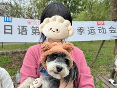 -帝京日语(春熙路旗舰校区)