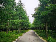 -红崖峡谷景区