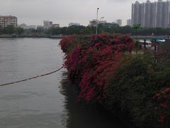 -黄沙码头