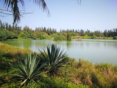 -白沙门生态公园