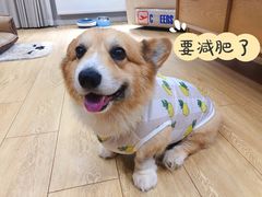 -联合动物医院(光谷诊疗中心)