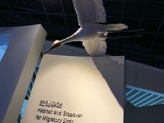 -上海长江河口科技馆