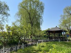 -大兴滨河森林公园