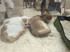-万达广场(北一路店)