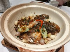 京葱焗缩骨鱼头-勝記酒家·37年老字号·经典粤菜(荔枝公园店)