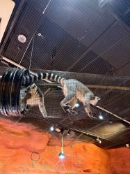 -Zoolung Zoolung动物主题公园(海信广场店)