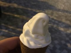 -富豪雪糕车流动点(尖沙咀店)