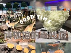 -湖南省地质博物馆