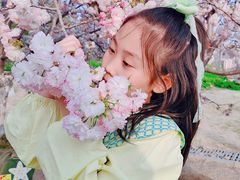 -济南国际园博园