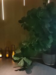 点击看大图 -VELEE·SPA高定疗愈会所