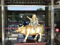 -晋阳饭庄(虎坊桥店)