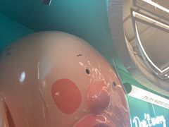 -不可思议减压馆·解压博物馆·摔碗发泄·团建定制