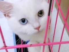 -联合动物医院(光谷诊疗中心)