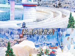 -长鹿旅游休博园