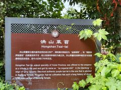 -宝通禅寺