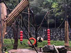 -火炉山森林公园