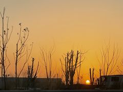 -大宁郁金香公园-停车场