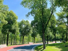 -牛岗山公园