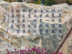 -放鹰台遗址