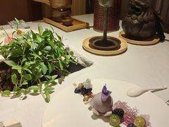 -叶叶菩提(太原别墅店)