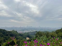 -火炉山森林公园