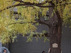 -四川大学(华西校区)