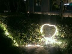 -MEET COFFEE婉约咖啡(宝善公寓店)