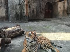 -南昌动物园