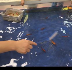 -汇乐童儿童主题乐园(李老社区商业中心店)
