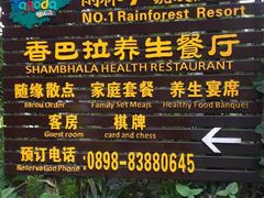 -呀诺达热带雨林