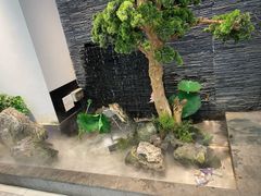 -大榕树下顺德菜(融创茂店)
