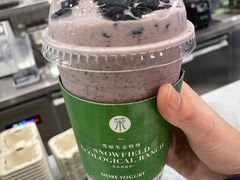 -茉酸奶(春熙路店)