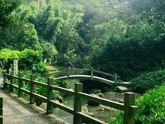 -广州市白云山风景名胜区