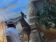 -西霞口神雕山野生动物世界