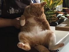 -小时光咖啡馆(开森度假森林店)
