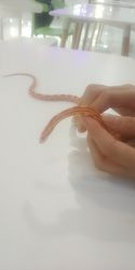 -Moni星球萌宠·小马宝莉·灵蛇·高端高阶全萌宠互动体验俱乐部(红豆国际广场店)