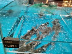 -艳阳天·非遗楚菜(武汉客厅店)