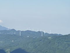 -武陵山森林公园
