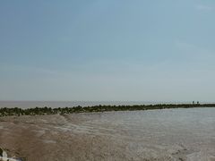 -南汇嘴观海公园