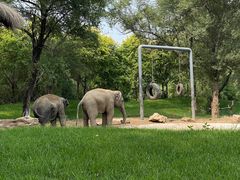 -北京野生动物园