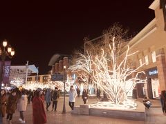 -远洋未来广场(育慧北路店)