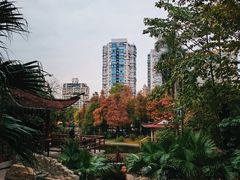 -晓港公园