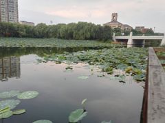 -新江湾城公园