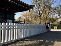 -东湖磨山景区樱花园-停车场