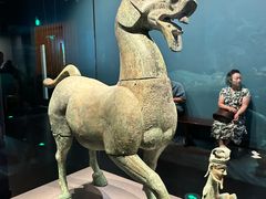 -广西壮族自治区博物馆