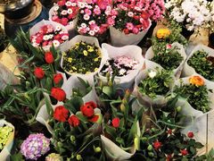 -双季花艺园艺市场(浦东店)