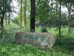 -杭州植物园