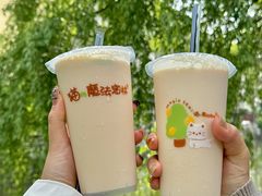 -猫的魔法密林(衣裳街店)