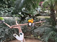 景点-南宫五洲植物乐园